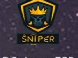 Dsnipers ESP APK APK